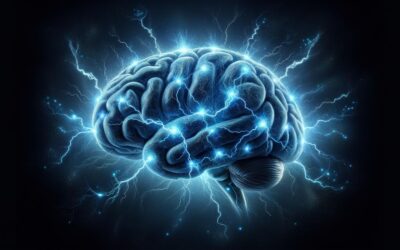 10 Fakten über das menschliche Gehirn